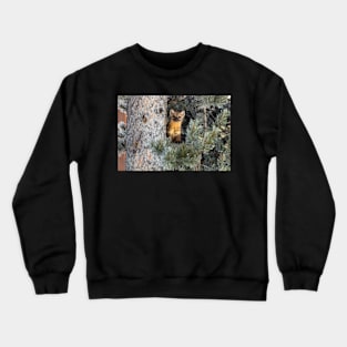 Marten Crewneck Sweatshirt